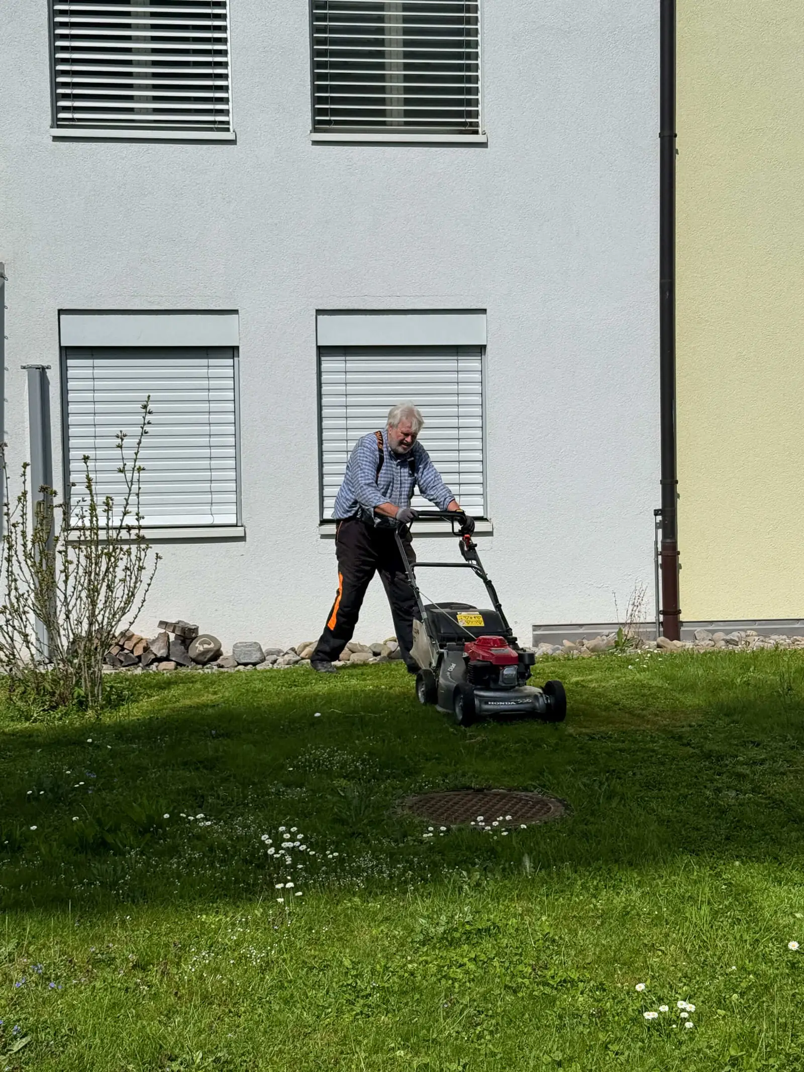 Gartenunterhalt rund um eine Liegenschaft